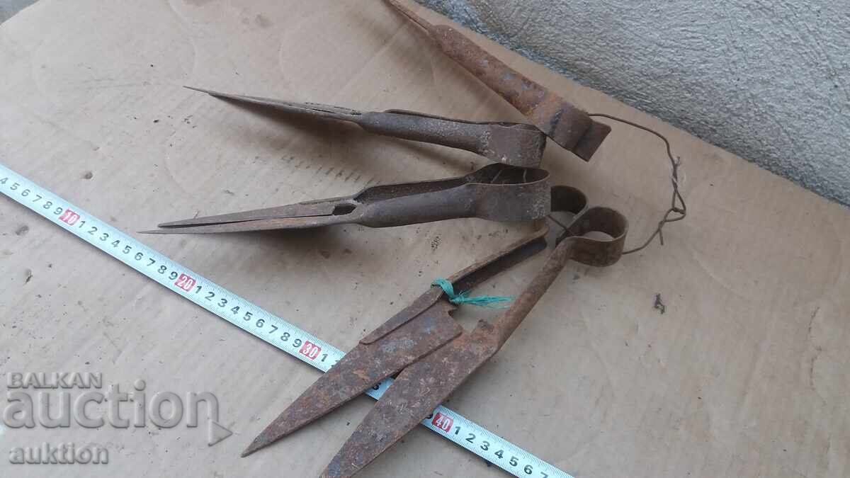 ΣΕΤ 4 ΨΑΛΙΔΙΑ ΠΡΟΒΑΤΩΝ - 6