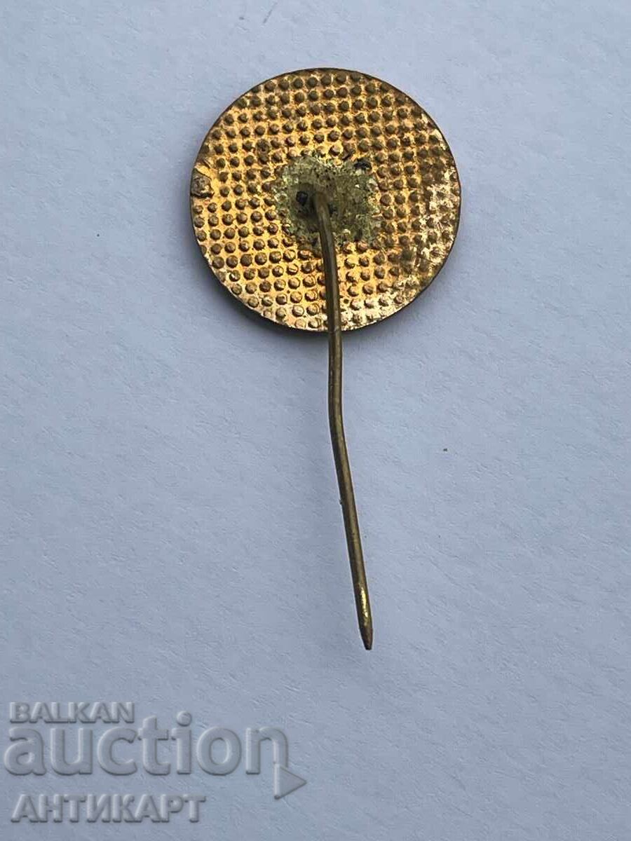 знак ветроход Асен емайл с цена € 2.50 | 4.89 лв.