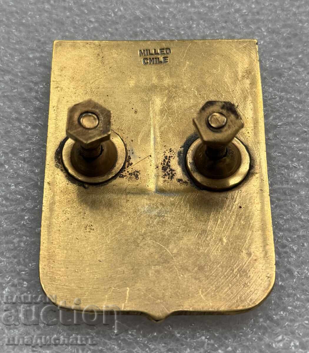 Licitație Emblemă emailată pentru radiator CHILI