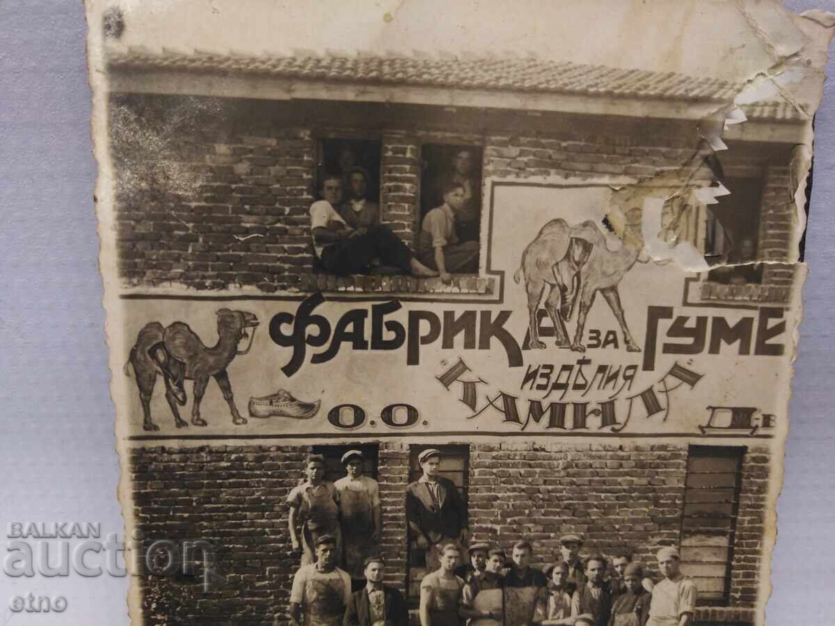 Licitație TITLU IMPERIAL - FABRICĂ DE PRODUSE DIN CAUCUC "CAMILA" opincă