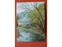 Băile Narechenski - Râul Cepelarska