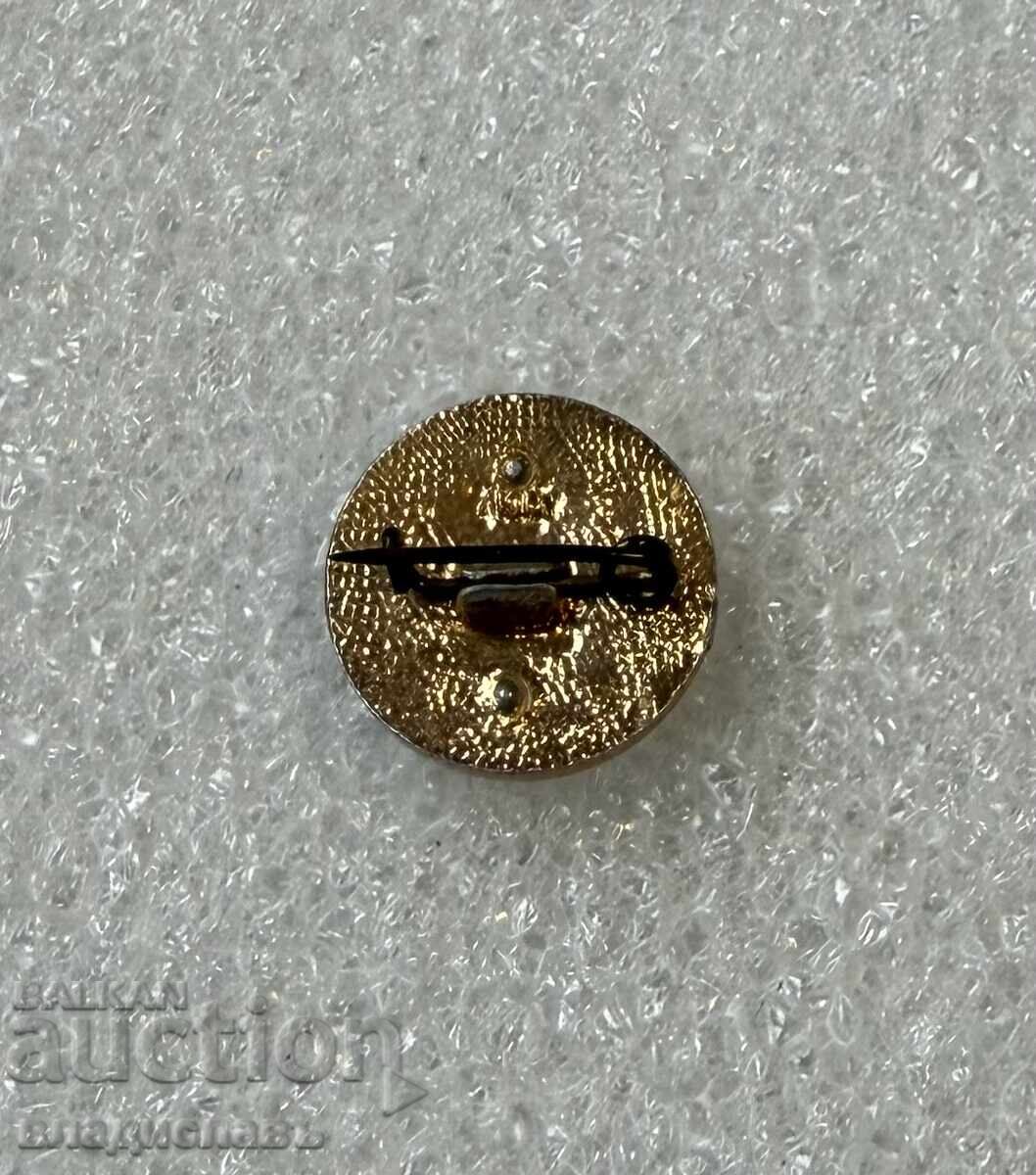 Licitație Veche insignă lider de partid din China