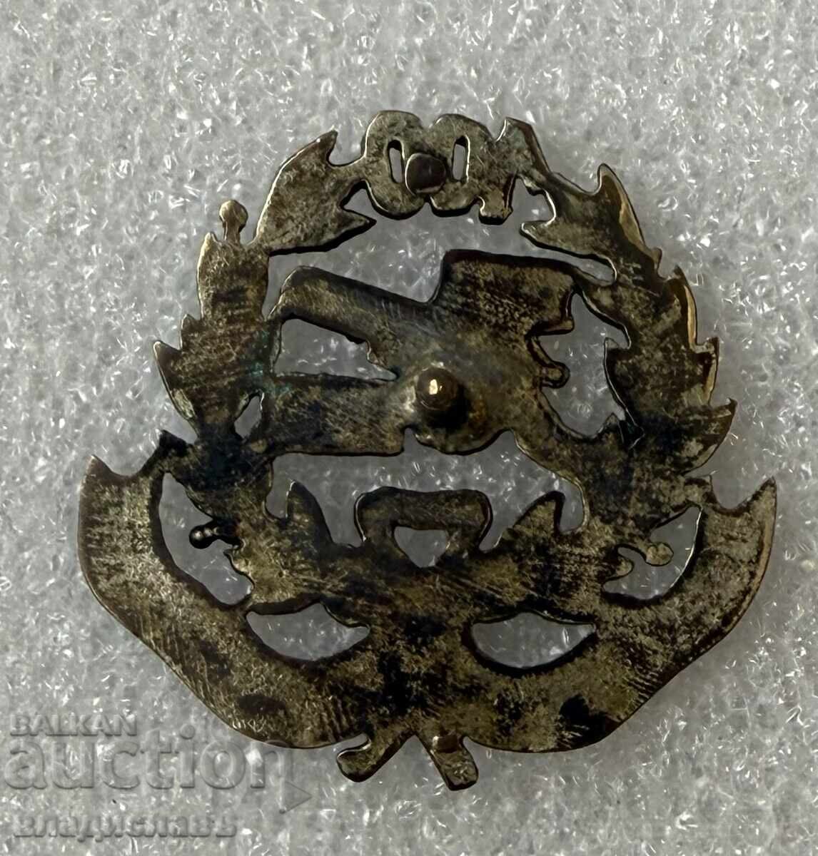 100 χρόνια μπαταρία Πυροβολικού με τιμή € 26.00 | 50.85 BGN