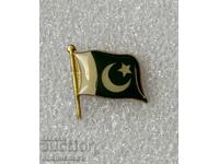 National flag of Pakistan badge