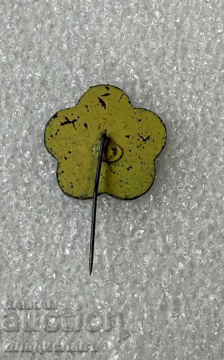 Old badge JORDAN with price € 9.00 | 17.60 BGN