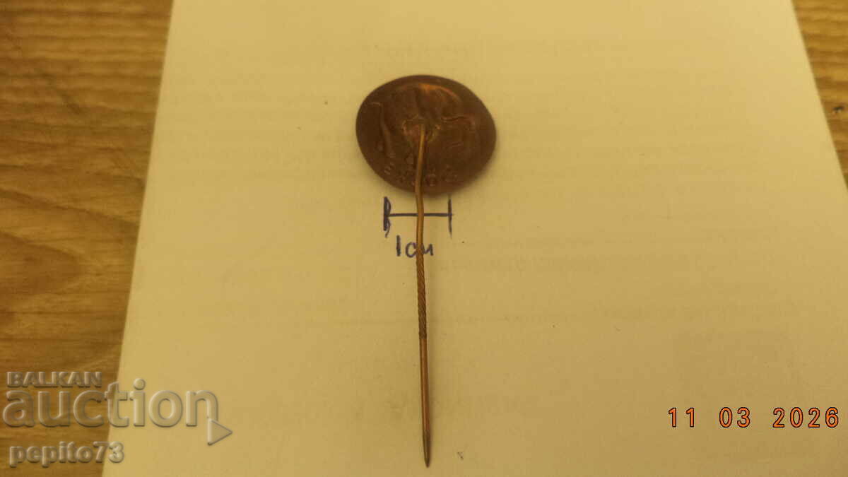 Доставка на значка рекламна, SOCKS,марка чорапи