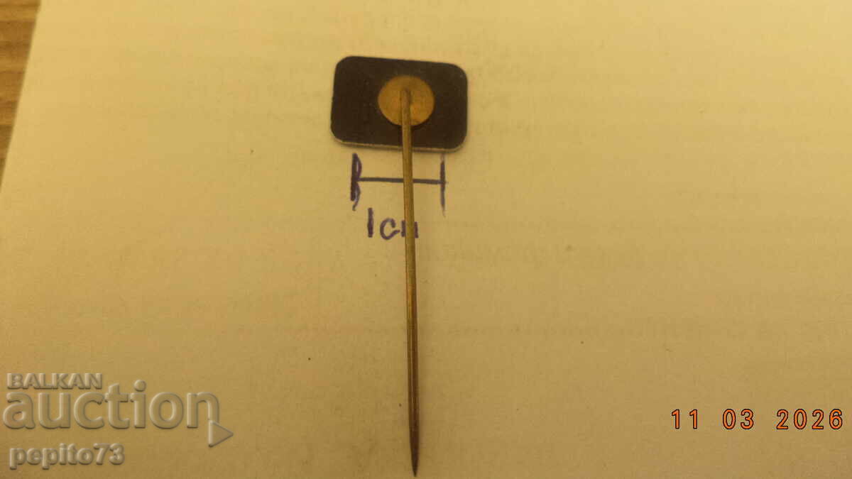 Delivery of Advertising badge, Rijscool, driving school