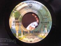 Μικρό βινύλιο - ROD STEWART