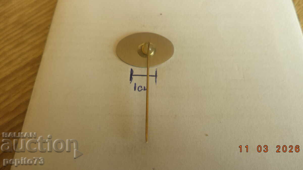 Livrarea Insignă publicitară, DR.OETKER, marcă produse