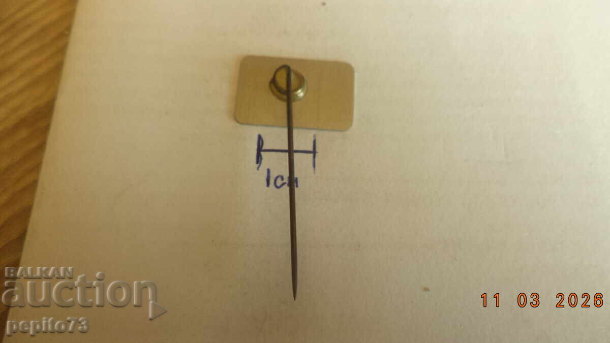 Delivery of Advertising badge, WYBERT, lozenges