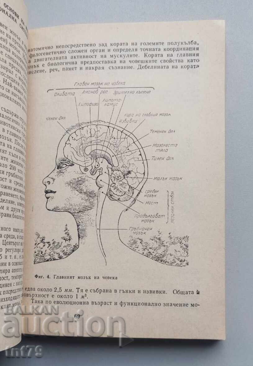 Livrarea Carte Ce este omul. N. P. Dubinin