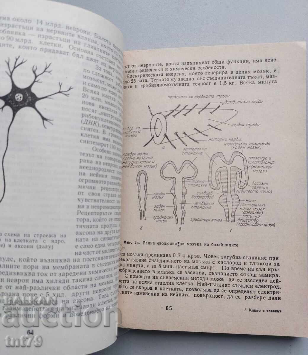 Carte Ce este omul. N. P. Dubinin - 5