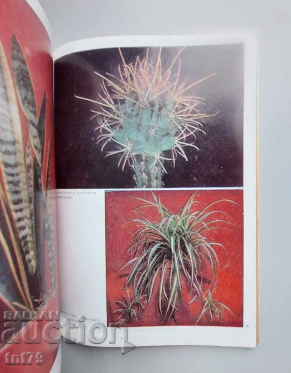 Книга: Преселници от тропика. И. Яков, Н. Минчев. - 6