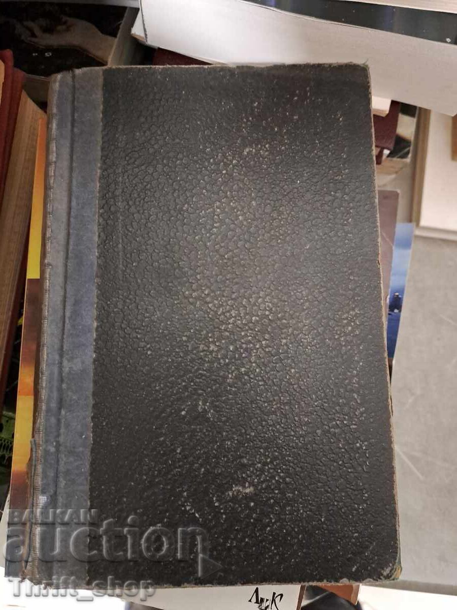 Вълшебната цигулка