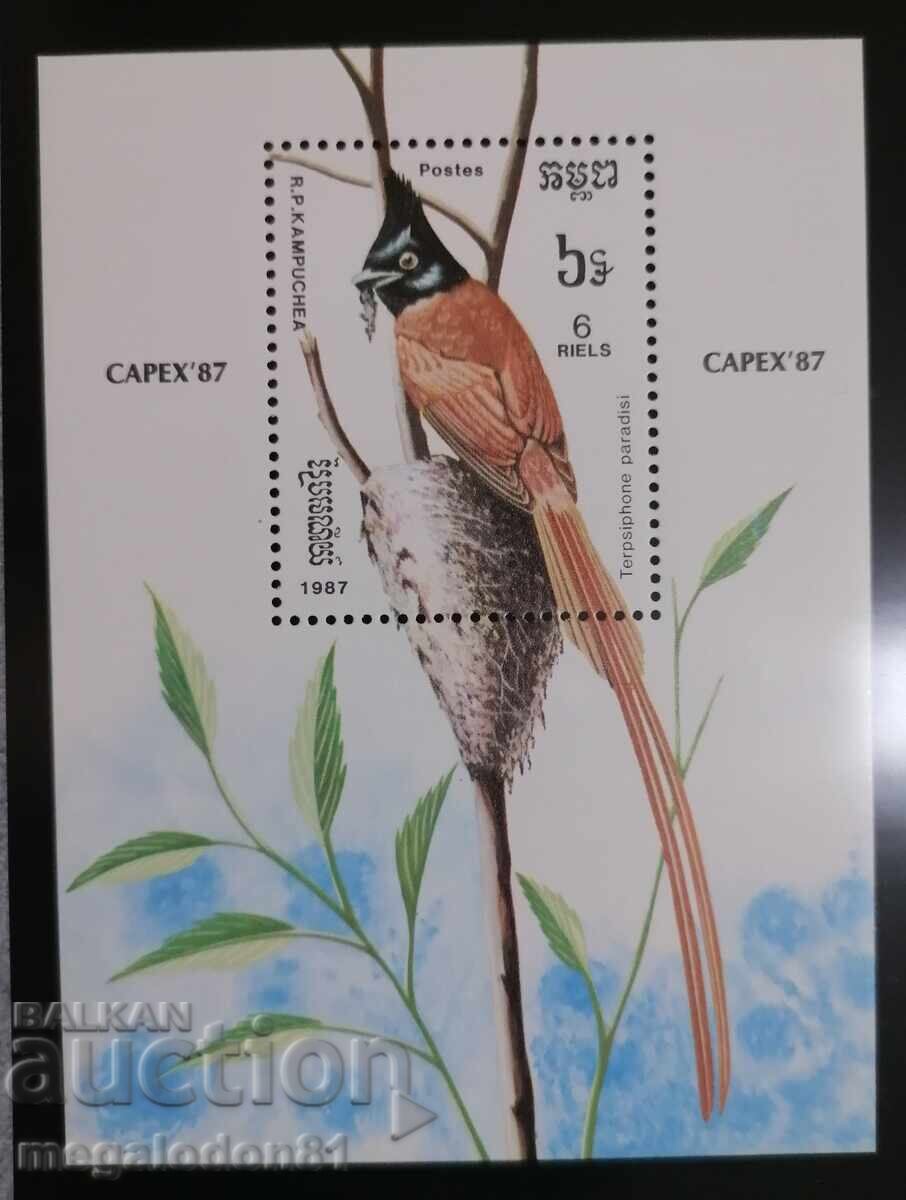 Licitație Cambodgia - păsări