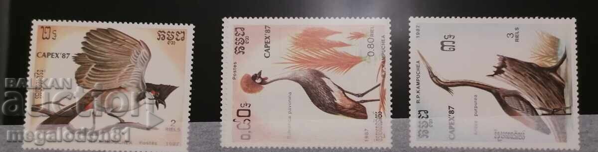 Cambodgia - păsări