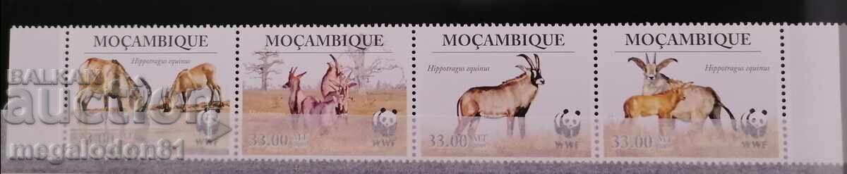 Mozambique - WWF Fauna, Antelopes