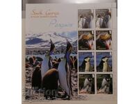 Georgia de Sud - faună, pinguini