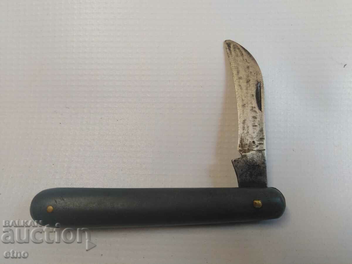 Livrarea CUIT DE BUZUUNAR BULGAR PENTRU RĂCIRE, DURERE, SPIPRI MARE Livrarea CUIT DE BUZUUNAR BULGAR PENTRU RĂCIRE, DURERE, SPIPRI MARE