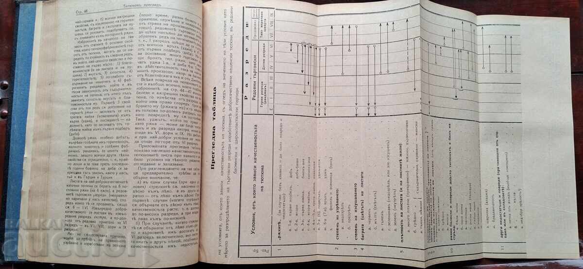 Παράδοση Αντίκα Βιβλίο - Επιθεώρηση Καπνού