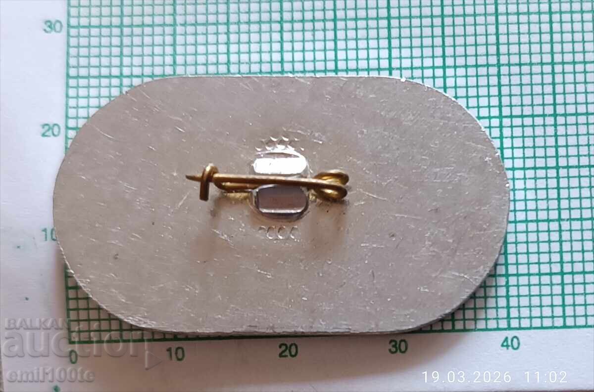 Доставка на Значка- 50 години Народно читалище Просвета село Катунци