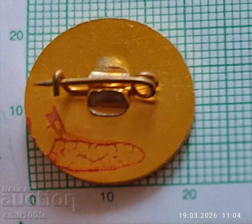 Доставка на Значка- 125 години Библиотека Искра Казанлък
