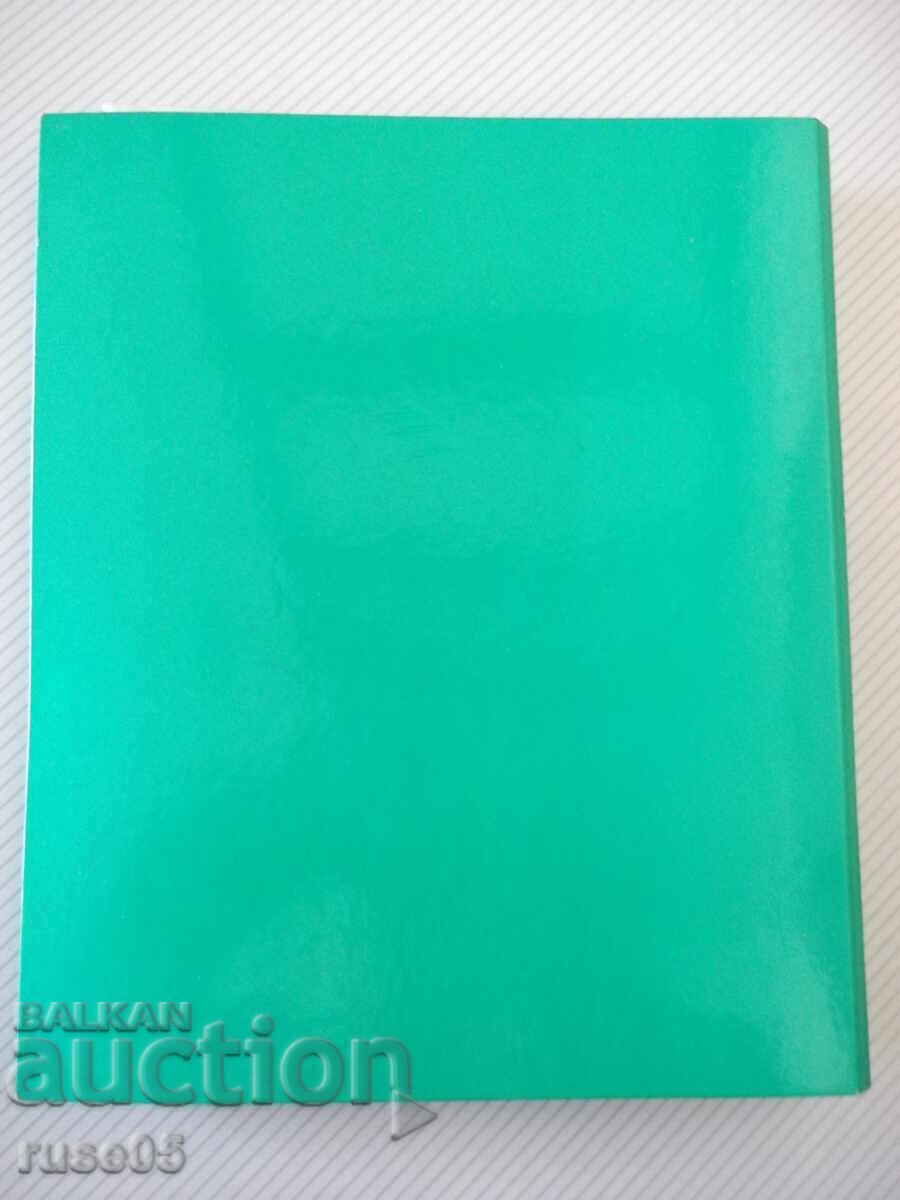 Clasor pentru 400 de cartonașe foto