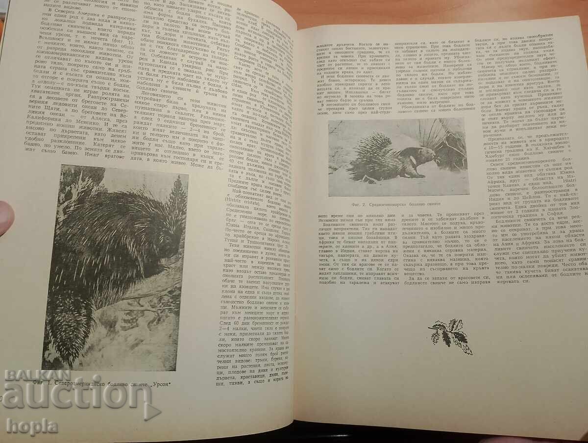 Revista NATURĂ ȘI CUNOAȘTERE 1957 cu preț € 0.01 | 0.02 BGN