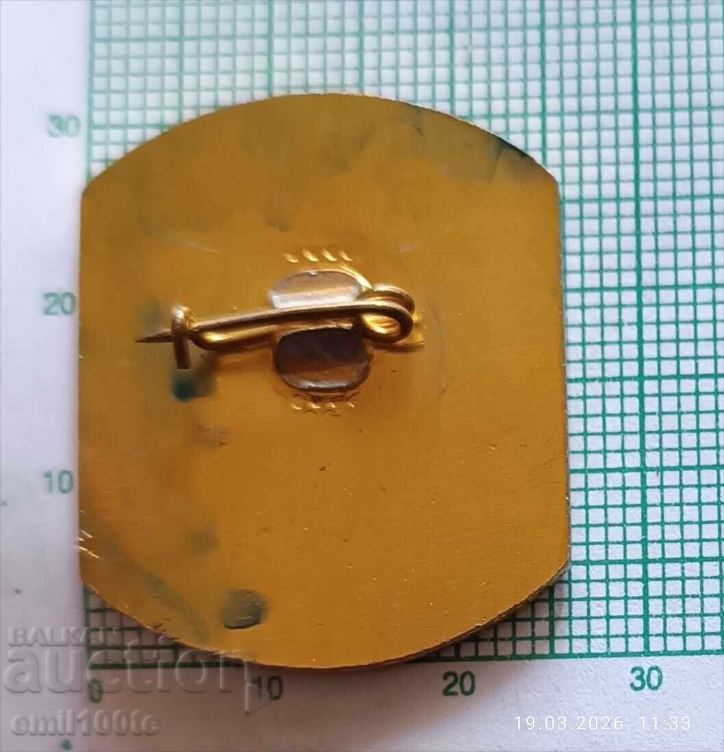 Livrarea Insignă - Raționalizator MHP CKPS