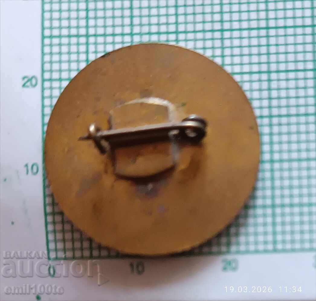 Livrarea Insignă - Pentru înaltă cultură în transport