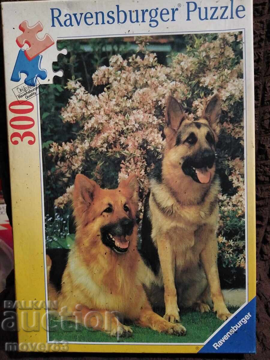 Puzzle câini. Nou! 300 piese