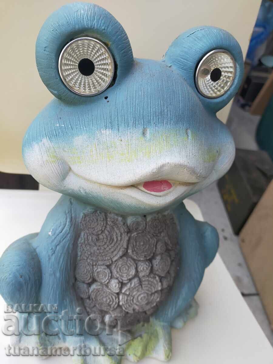 βάτραχος - 5