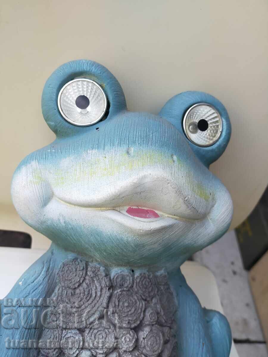 βάτραχος - 6