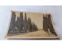 Postcard Stara Zagora, City of Cypresses