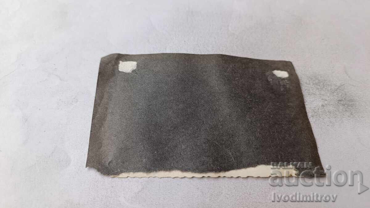 Φωτογραφία Σοφία Δύο νεαρά κορίτσια για μια βόλτα με τιμή € 1.24 | 2.43 BGN Φωτογραφία Σοφία Δύο νεαρά κορίτσια για μια βόλτα με τιμή € 1.24 | 2.43 BGN