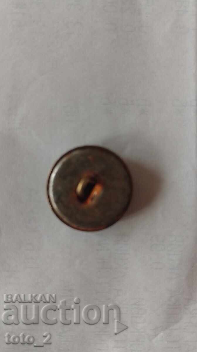 Buton vechi militar cu preț € 1.05 | 2.05 BGN