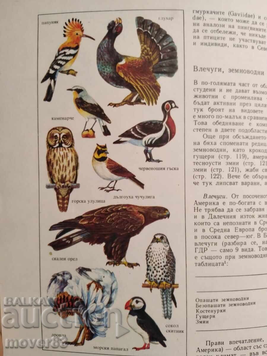 The Animal World of Earth - 6