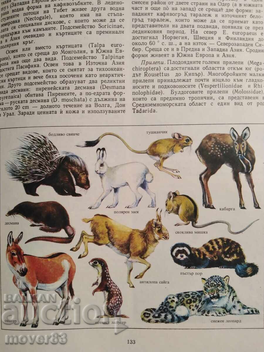 The Animal World of Earth - 7