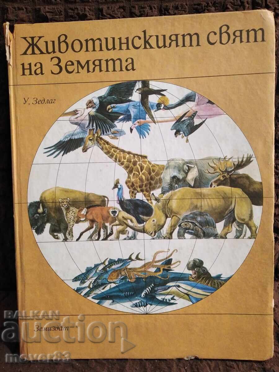 The Animal World of Earth