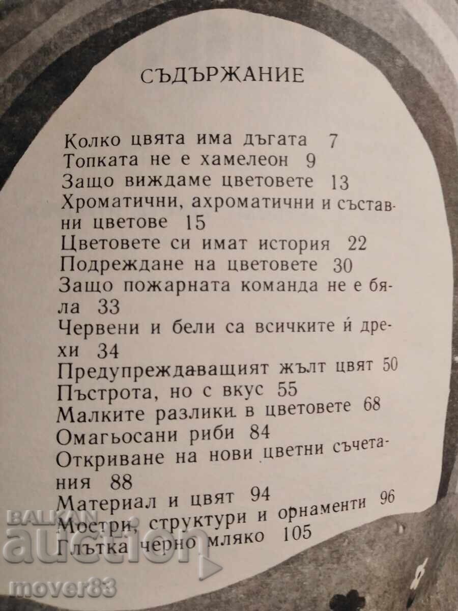 Licitație Aventuri cu culorile