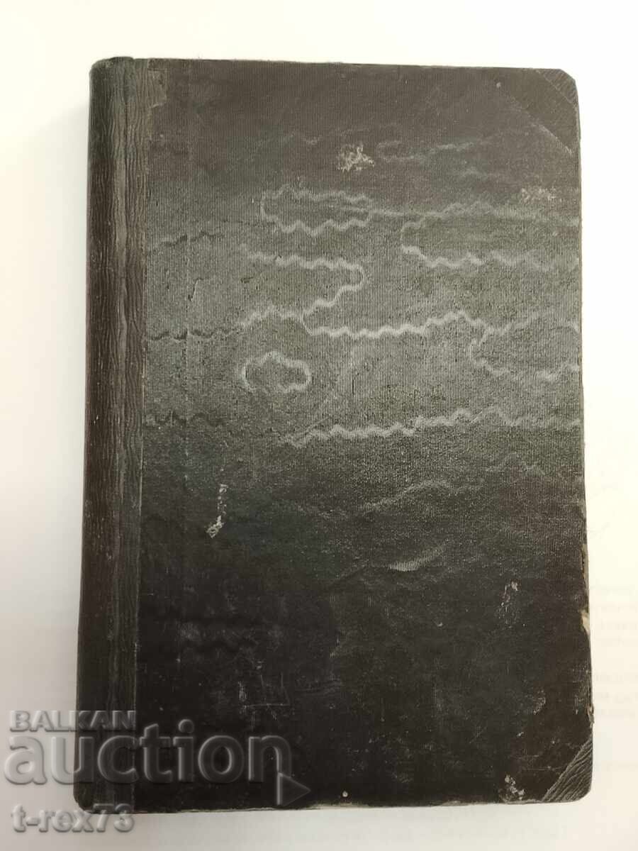 Petko Slaveykov - caracterizare de Pencho Slaveykov RRR - 5