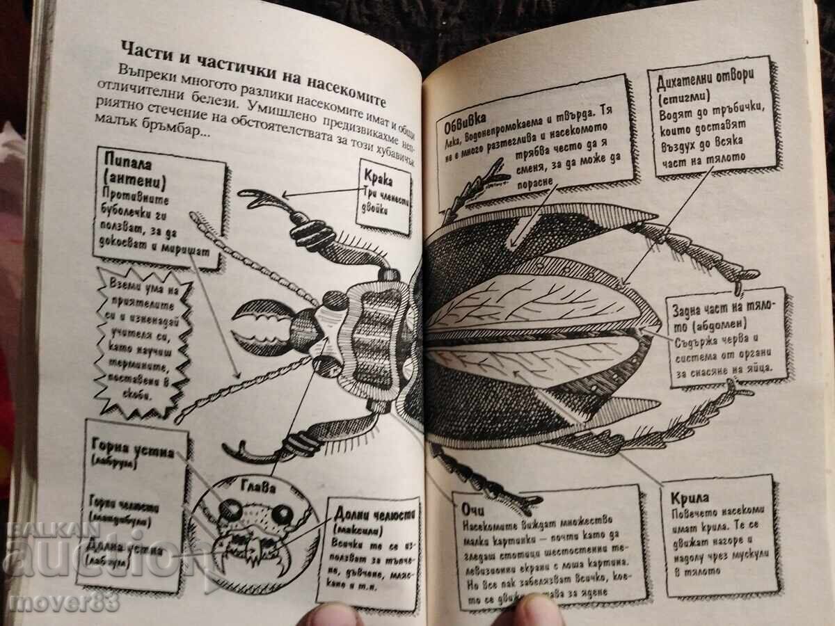 Противните буболечки. Ник Арнолд - 6 Противните буболечки. Ник Арнолд - 6