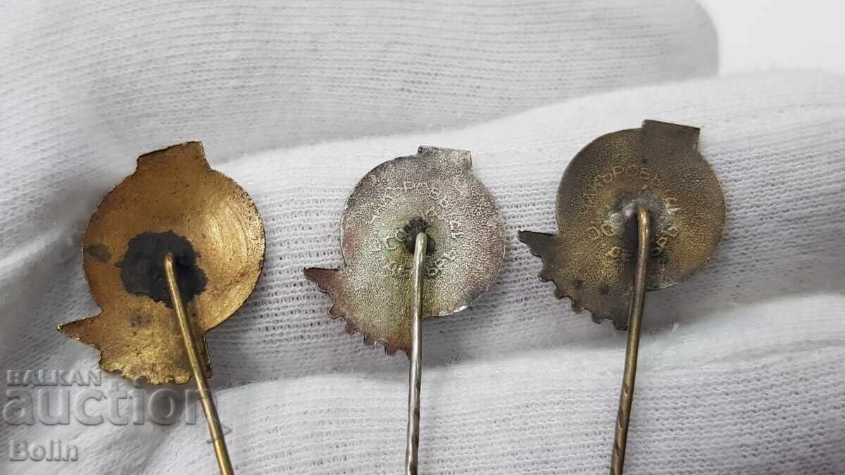 3 bucăți Insigne Regale, Insigne, Târgul Exemplu din Plovdiv - 7