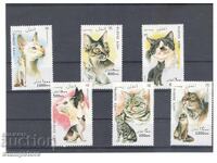 Αφγανιστάν - Γάτες