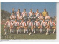 Ταχυδρομική κάρτα Βουλγαρική εθνική ομάδα ποδοσφαίρου