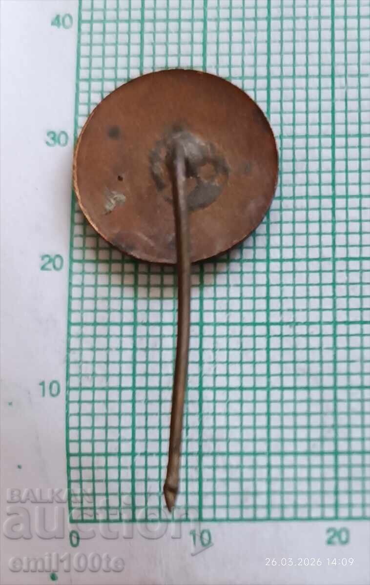 Delivery of Badge - Electronics