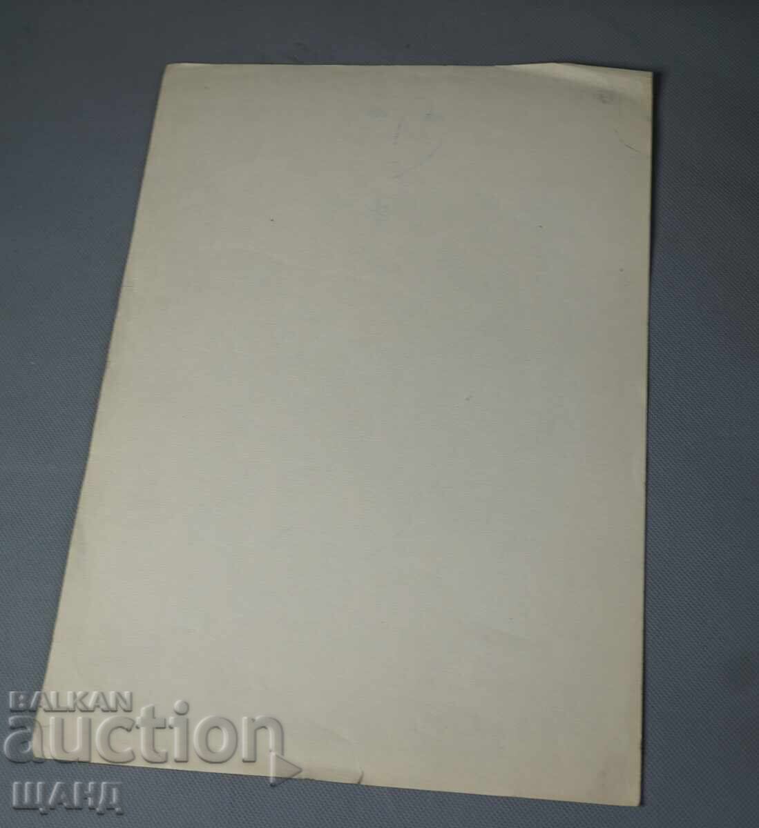 Veche pictură de maestru, portret, fată, femeie cu preț € 1.74 | 3.40 BGN