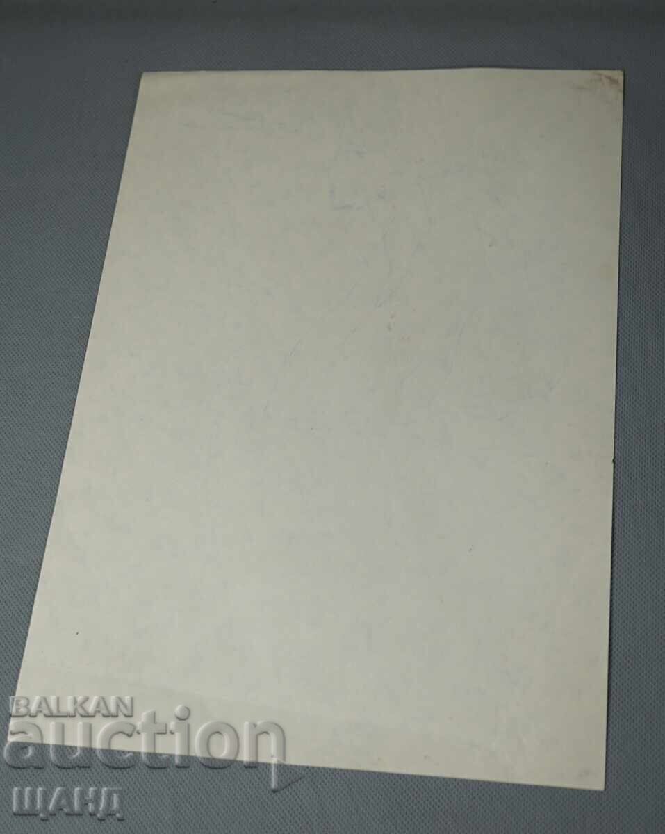 Veche pictură de maestru, portret, fată, femeie cu preț € 1.74 | 3.40 BGN