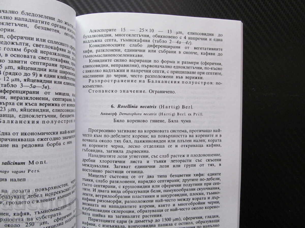 Parasitic fungi on vines in the Balkan Peninsula fungal diseases with price € 6.00 | 11.73 BGN