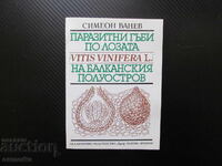Παρασιτικοί μύκητες στα αμπέλια της Βαλκανικής χερσονήσου μυκητολογικές ασθένειες